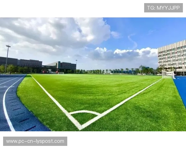 草皮科技革新减少伤停：比赛质量提升明显