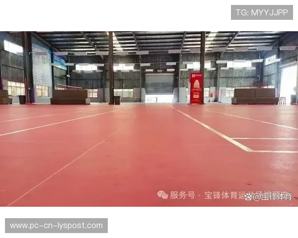 国际羽毛球协会在青训中推广长期选材与成长轨迹透明化管理，国际羽毛球联合会成立于()年