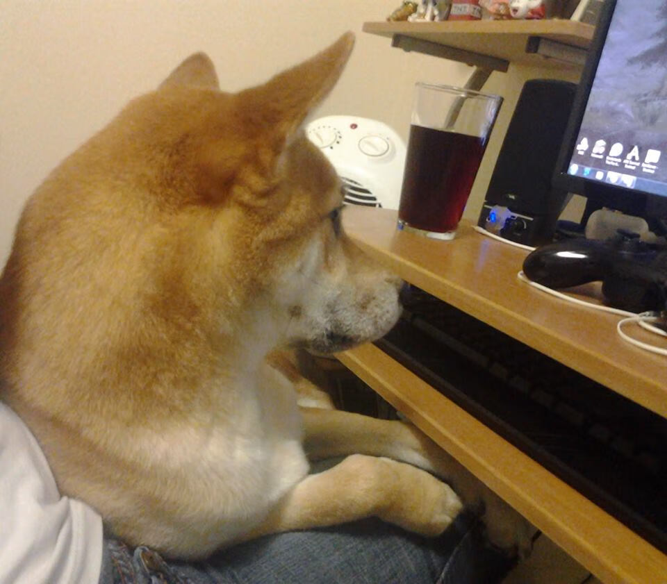 世界杯激战正酣：关键瞬间引爆全场！，世界 杯